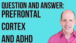 Q & A:  The Prefrontal Cortex and ADHD