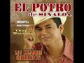 EL POTRO DE SINALOA -- EL VASO DERRAMA