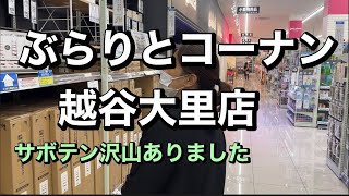 ホームセンターコーナンの紹介です【pinay vlog】【フィリピンママの日常】#散歩#ホムセン#フィリピーナ