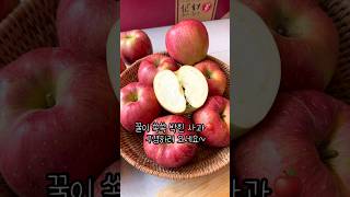 꿀이 쏙쏙박힌 제철 햇홍로사과🍎 #홍로사과 #돌쇠네농산물