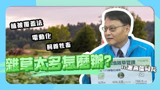 【#CS生活】家裡周圍雜草叢生！如果不能亂噴藥該怎麼做才好？ Ft.行政院環保署毒物及化學物質局長謝燕儒