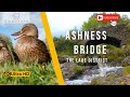 Ashness Bridge