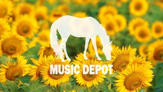 Sunflowers relaxing music - Beautiful piano music for stress relief