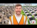 Mr. Beast||  I Built 100 Houses And Gave Them Away||$50000🏠🏠🏠#viralclips