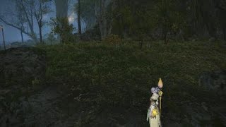 「FF14」　ピクトマンサージョブクエ　「旅する画家は幻想を征く」