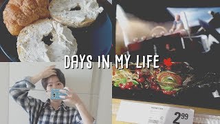 ENG 🇨🇦 워홀 vlog #7 일상 모음.zip (혼밥/혼영/구직/쇼핑)