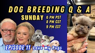 Love My Pups dog breeding Q&A Sunday 11/17