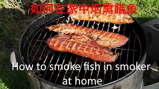 如何做腊鱼-木屑里加一物，包你香喷喷 - 烟熏腊鱼的做法 How to smoke fish in smoker at home