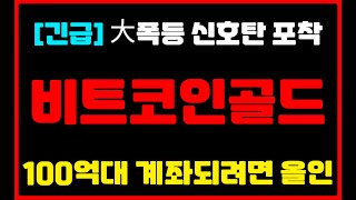 [비트코인골드 코인]💥긴급💥\