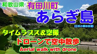 【アクションカム＆ドローン映像】和歌山県有田川町あらぎ島　2023年7月24日撮影