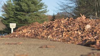 Collecting leaves is causing dust problems in rain-starved Connecticut