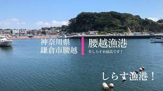 真夏の神奈川県　江の島周辺　片瀬海岸東浜　鎌倉市腰越 腰越漁港　七里ヶ浜　江ノ島電鉄【江ノ電】お盆明けで静かになった海岸沿い散歩！