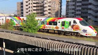 【Anpanman train！しろいアンパンマン列車】しおかぜ22、21号は、しろいアンパンマン車両5両編成で、瀬川踏切を通過。ふろくは、8000系しおかぜ、マリンライナー！