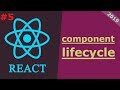 05 React JS Tutorial 2019 Component LifeCycle