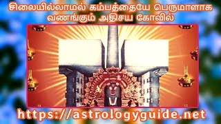 சிலையில்லாமல் கம்பத்தையே பெருமாளாக வணங்கும் கோவில் - Ariyalur Kaliyuga Varadharaja Perumal Temple