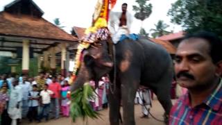 VELAKALI EVOOR TEMPLE 17th JANUARY 2017