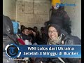 kisah wni yang berhasil lolos keluar dari ukraina setelah 3 minggu sembunyi di bunker