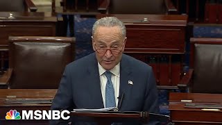 Schumer condemns antisemitism in Senate floor speech