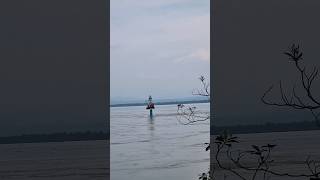 brahmaputra river || Biswanath ghat || Assam flood #biswanathchariali #floods