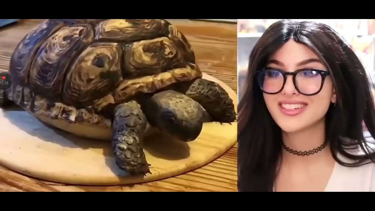 Sssniperwolf Youtube