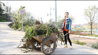 在家背后干活，用斗车拉杂物去扔了，推这个斗车又累又费劲！