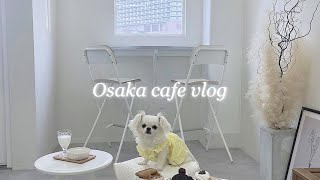 【犬カフェVlog】ここでヤギミルクのおいしさに目覚めちゃった