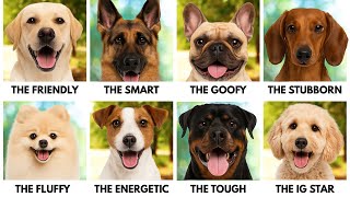 EVERY Dog Breed Explained in 23 Minutes