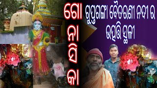 Guptaganga Gonasika Temple | Kendujhar District | No Extra Support ❤️