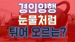 [주식]경인양행 눈물처럼 튀어 오르는? 주식황소 [디테일긴급분석!!!] 반드시 봐야 하는 내용!!!