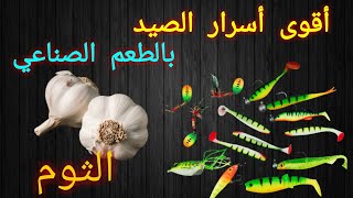 صيد الأسماك بالطعم الصناعي . الثوم للصيد بالبحر .