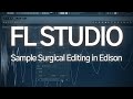 FL Studio Edison Surgical sample editing