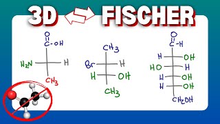 How to Draw Fischer Projections