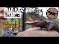 WILD KIDZ VIDZ - Dragons