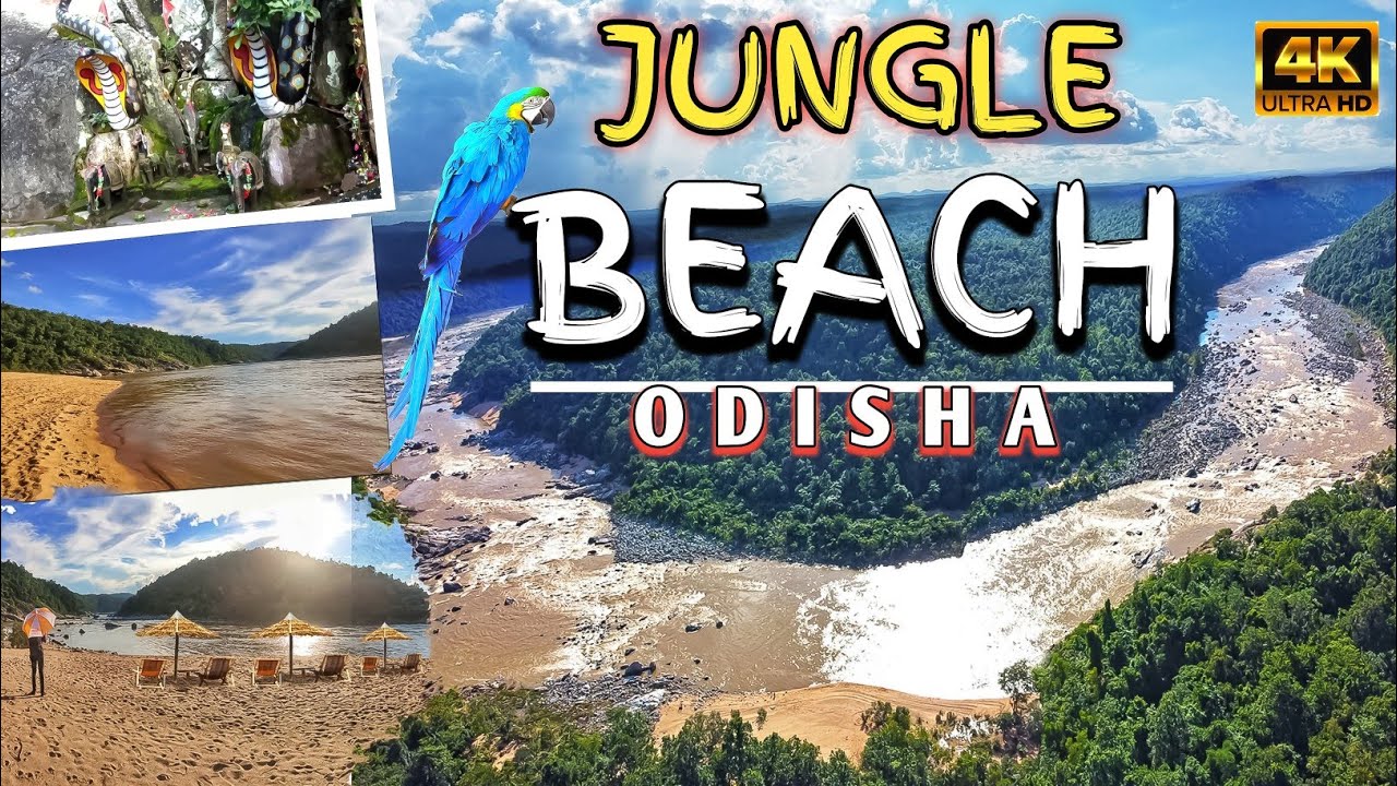 Sonamuni Jungle Beach Keonjhar #junglebeach #odiavlog - YouTube