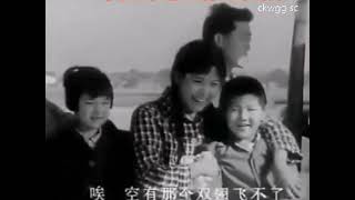 70年代：計劃生育好