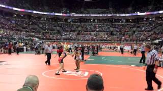 Highlights from 2015 OHSAA state wrestling semifinals