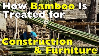 How Bamboo is Treated for Construction and Furniture