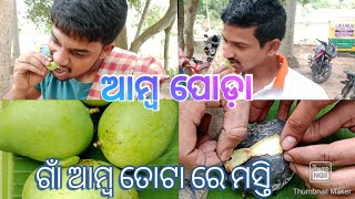 ଆମ୍ବପୋଡ଼ା#ଗାଁ ଆମ୍ବ ତୋଟା ରେ ମସ୍ତି #ଫିଷ୍ଟ ଆମ୍ବ ପୋଡ଼ା