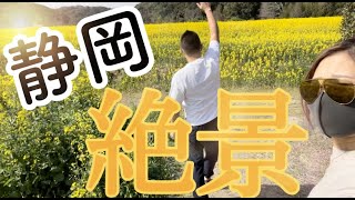 静岡県絶景《菜の花畑》in桶ヶ谷沼