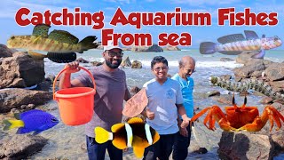 Catching aquarium🐠 Fish from ocean🐟 fishkeeping hobby | மீன் பிடிக்க போறோம்