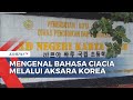 Asal Muasal Bahasa Daerah Ciacia di Sulawesi Tengah Pakai Aksara Korea