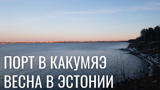 Еду гулять в Какумяэ - порт, лес и море. Прогулки по Таллинну