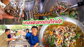 เมนูทีเด็ด แกงเห็ดปลวกเก็บไว้ข้ามปี!! มาดูกันว่าจะยังกินได้มั้ย