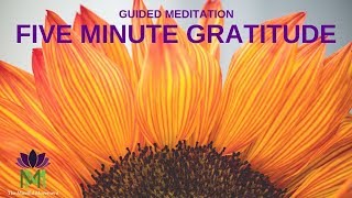 5 Minute Guided Meditation for Gratitude | Mindful Movement