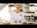 Impact of Stress and Isolation on the Brain