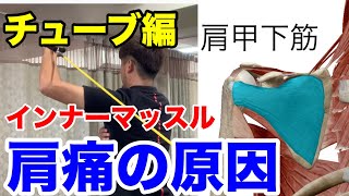 肩のインナーマッスル肩甲下筋チューブ【野球 肩の痛み 五十肩】