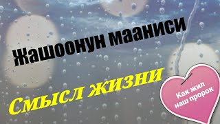 Жашоонун мааниси...