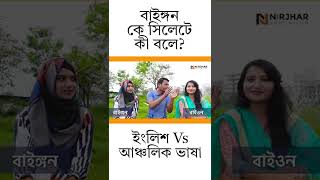 বাইঙ্গন কে সিলেটে কী বলে! ইংলিশ Vs আঞ্চিলিক ভাষা