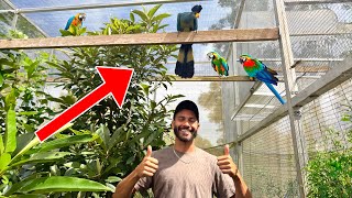 We Visited The RAREST BIRD Collection In FLORIDA!!