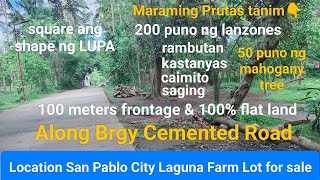 #Vlog261 FARM LOT FOR SALE 100% FLAT LAND | FLOOD FREE | LOCATION SAN PABLO CITY LAGUNA